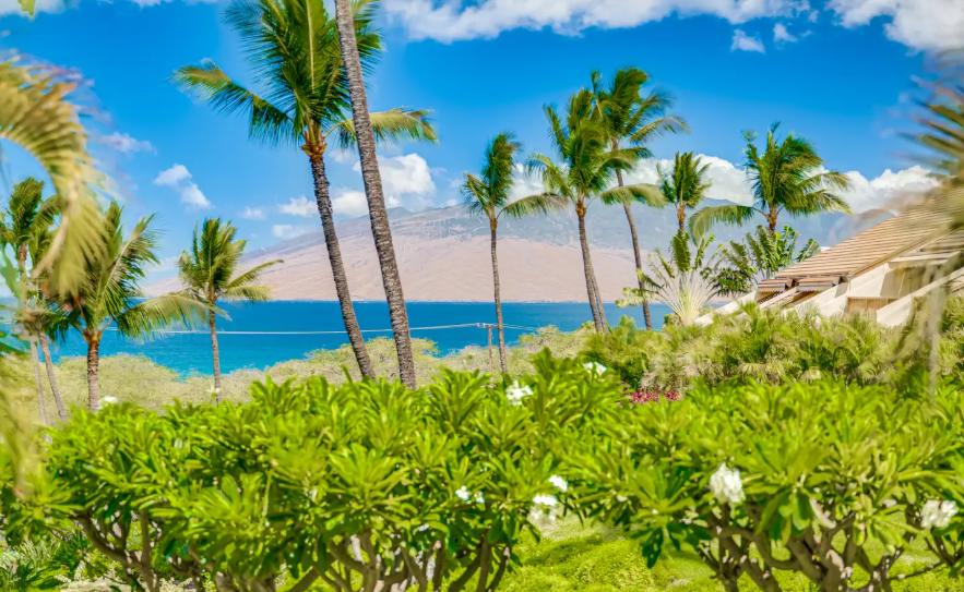 Oceanview 2 Bedroom Condo Steps from Kamaole Beach III