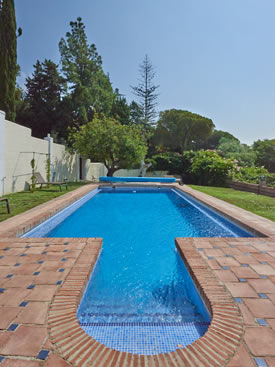 Villa Adelfas photo 4
